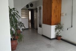 WhatsApp Image 2020-02-17 at 12.58.29