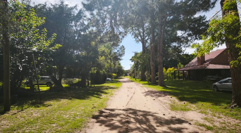 6c03861d-8931-4bed-96a5-0c8179c31027