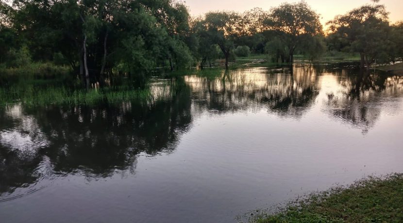 e3311850-08a3-40eb-8423-233e4ca25c1d